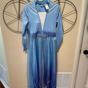Disney Frozen Light Blue Dress with White Accents